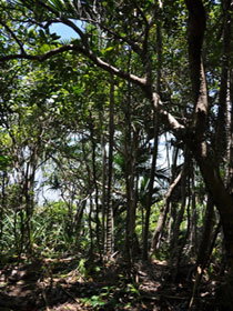 Yuibera Yuwi Trail - South Australia Travel 0